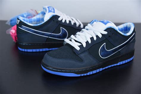 nike sb blau schwarz|Nike SB shoes for men.